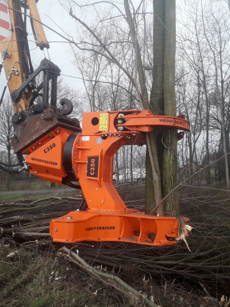Baumschnitt mit Greifarm