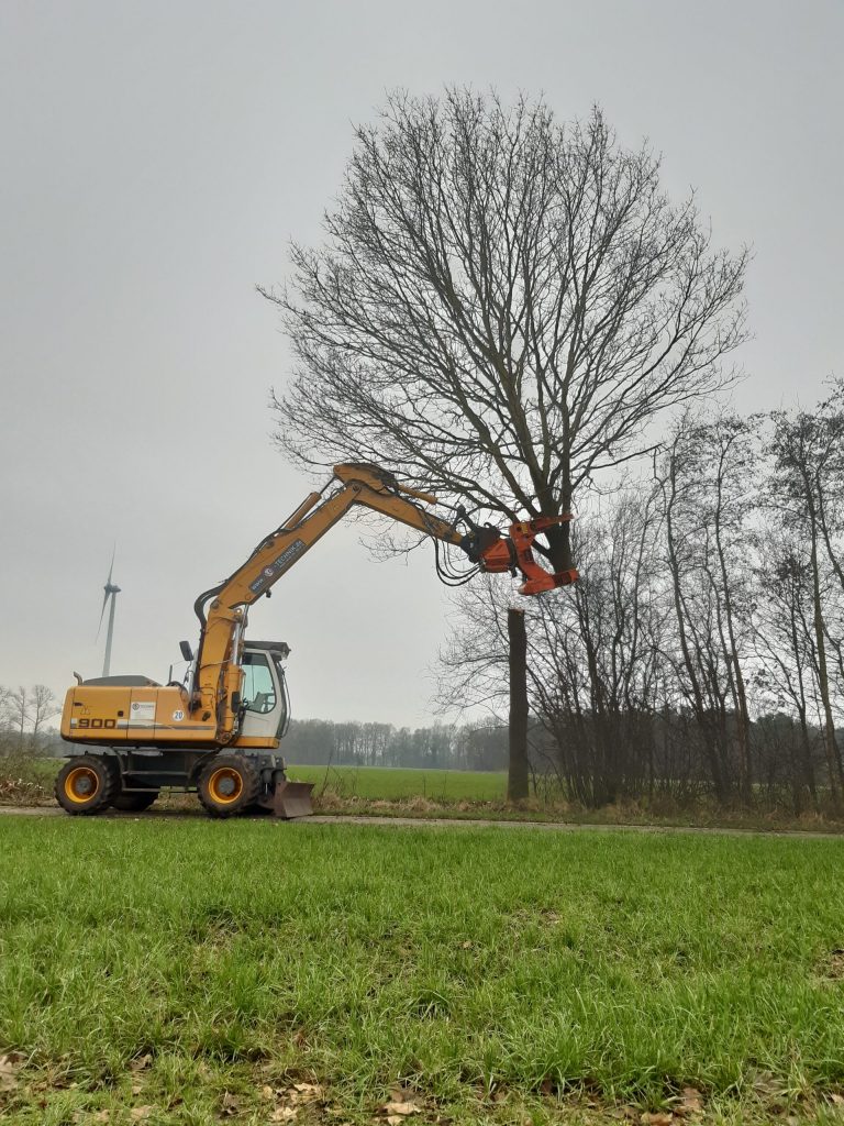 Baumschnitt mit Greifarm