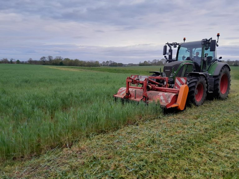 Trecker der das Feld mäht