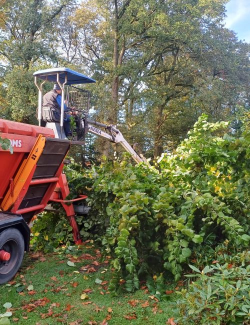 Anhänger mit integriertem Greifarm zur Mulchgewinnung